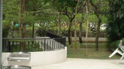 11 Amber Road (D15), Apartment #145902872
